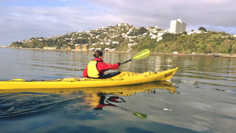 Glide across Wellington’s harbour!