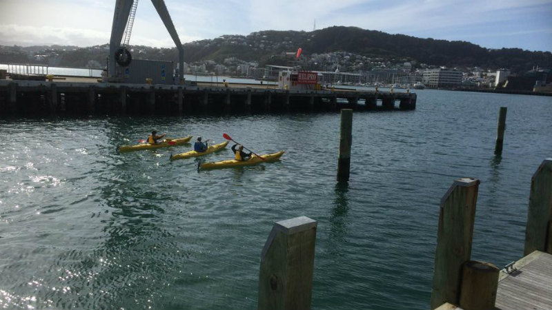 Glide across Wellington’s harbour!