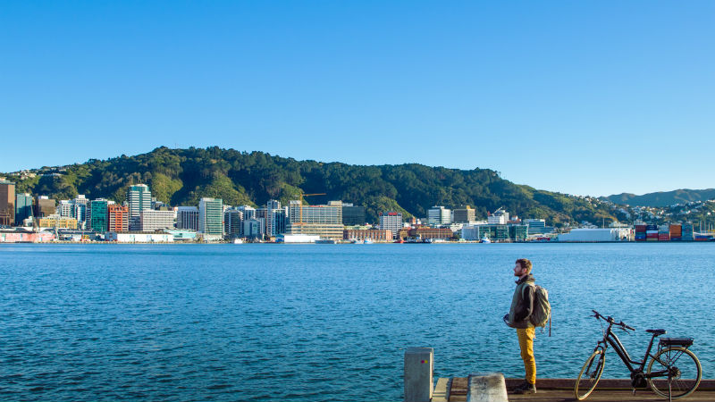 Take in the best of Wellington with the newest and most fun way to see the city!