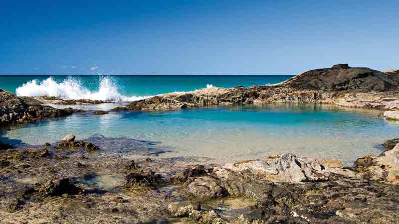 Dropbear Adventures have done it again, creating a 2 day 1 night tag along tour like no other where you experience what the locals come to the island for!
