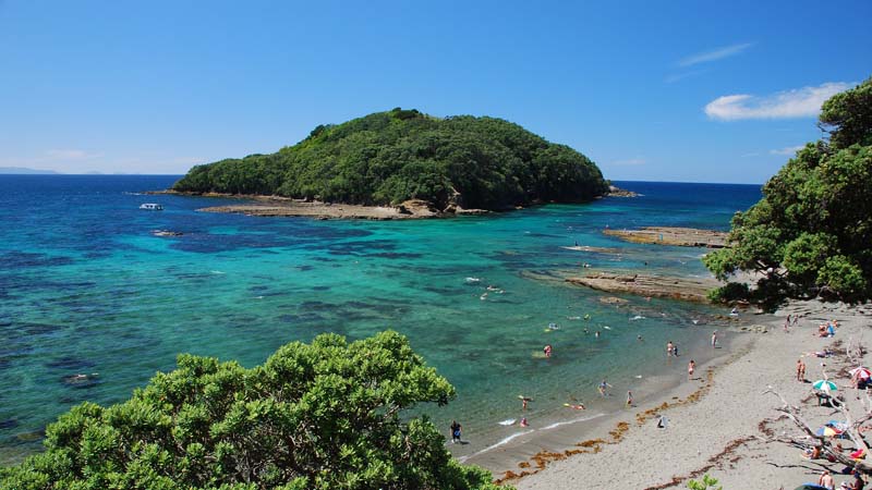 Experience the thriving ecosystem of New Zealand’s first marine reserve through our glass bottom boat on our 45-minute fully commentated “around the island” tour.