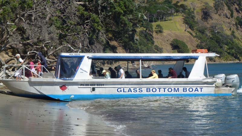 Experience the thriving ecosystem of New Zealand’s first marine reserve through our glass bottom boat on our 45-minute fully commentated “around the island” tour.