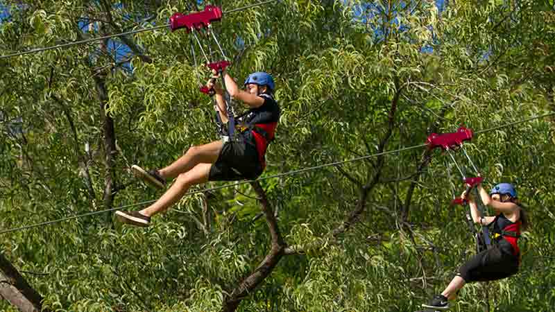 Once is never enough at Cairns Adventure Park Zip Line! Get a 3 ride combo deal for the ultimate thrill