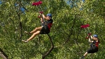 Cairns Adventure Park - Zip Lining Two Ride Combo