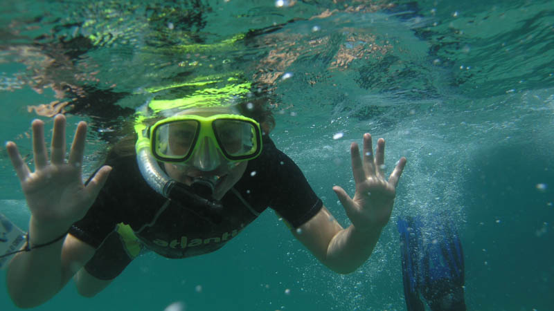 Discover the magical underwater world of Goat Island Marine Reserve and snorkel amongst a vast array of fascinating marine life!