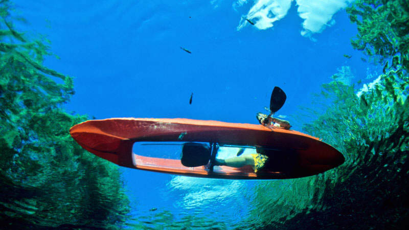 Hire a kayak and discover the beauty of Goat Island - New Zealand's first marine reserve!