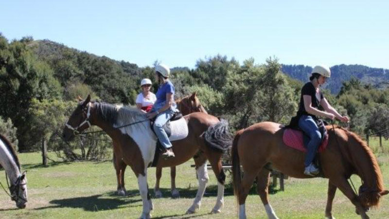 Spend 2 hours of pure delight in stunning South Wairarapa countryside, as you feel the earth thumping beneath you and your horse.