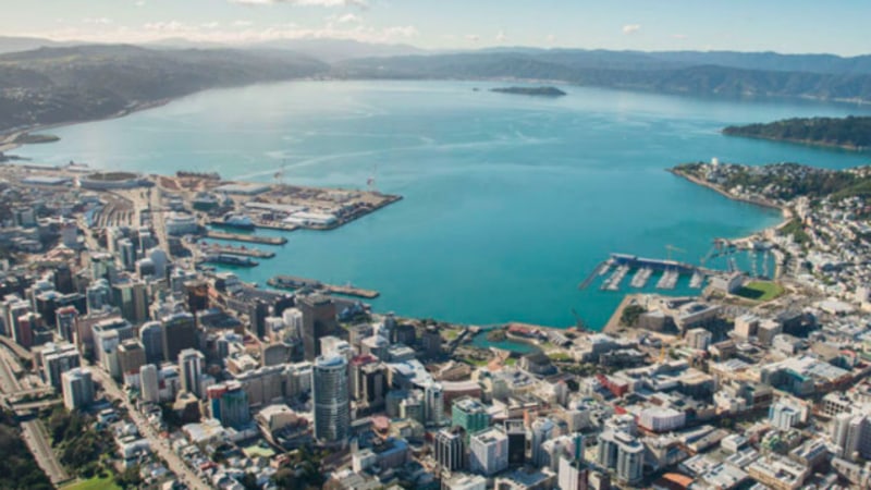 Explore the beauty of Wellington Harbour from the best view around!