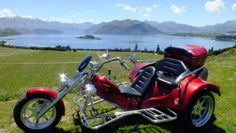 Central Otago Experiences - Trike Vineyard Tours