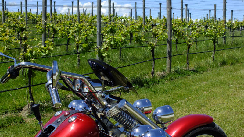 Explore an array of beautiful boutique vineyards by trike!