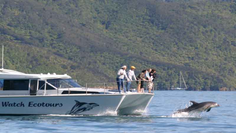 See the very best of the Queen Charlotte Sound.