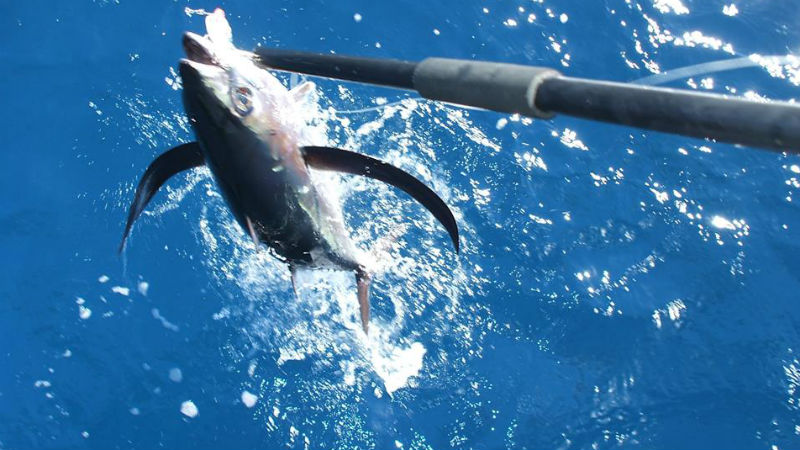 Join Pete Lamb for a great day on the water - his aim is to help you catch the big one!