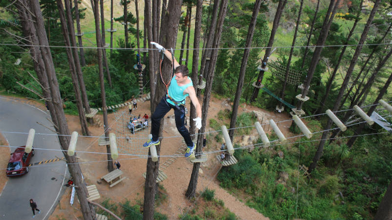 Fire up your confidence at Adrenalin Forest, on their stomach churning, six level obstacle course.