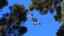 Adrenalin Forest - 3 Hour Admission - Tauranga