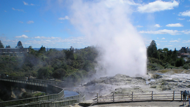 Join Headfirst Travel for the best of Rotorua! The Snapshot of the City Tour shows you all the hot spots in an hour and forty minutes of absolute delight.