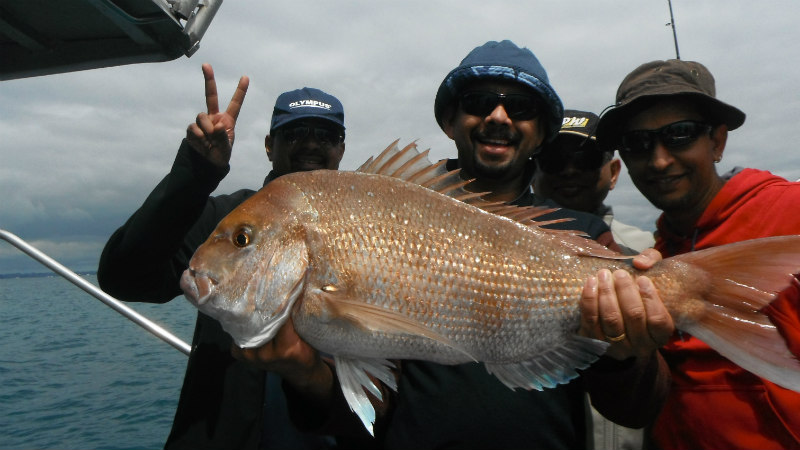 Spend 4 hours on the Hauraki Gulf waters with Auckland’s premium inshore Snapper fishing charter team.