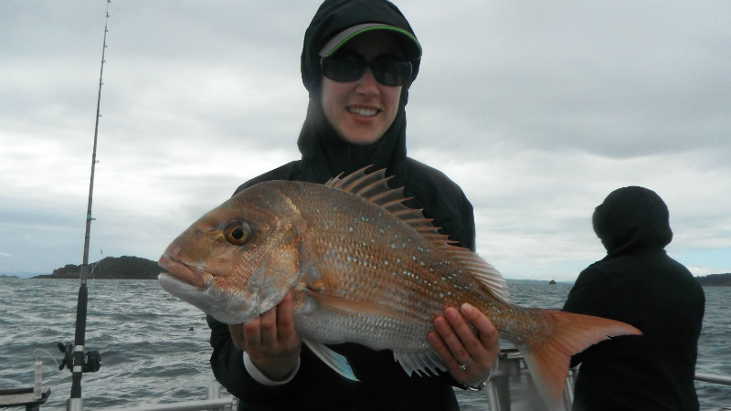 Spend 4 hours on the Hauraki Gulf waters with Auckland’s premium inshore Snapper fishing charter team.