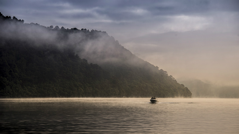 Explore the epic natural beauty of the Queen Charlotte Sound and its wildlife.