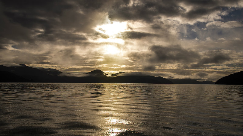 Explore the epic natural beauty of the Queen Charlotte Sound and its wildlife.