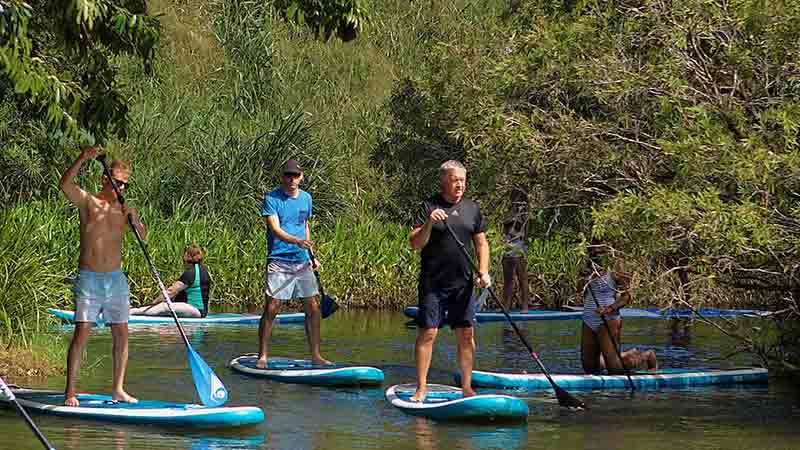 The Kuranda Rainforest Paddle Boarding Experience is the perfect relaxing paddle boarding trip for people of all levels of fitness.