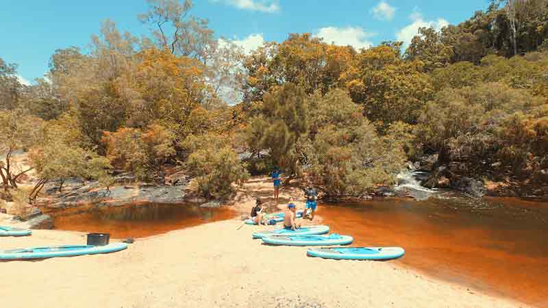 The Kuranda Rainforest Paddle Boarding Experience is the perfect relaxing paddle boarding trip for people of all levels of fitness.