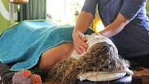 HANMER SPRINGS - Back, Neck & Shoulder Massage & Organic Facial - Natural Health