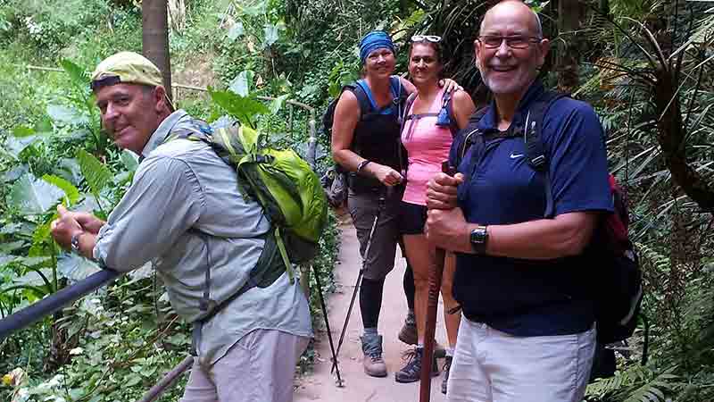 Discover the best of Springbrook, including its lush rainforest, impressive waterfalls, and spectacular lookouts, in just one day!