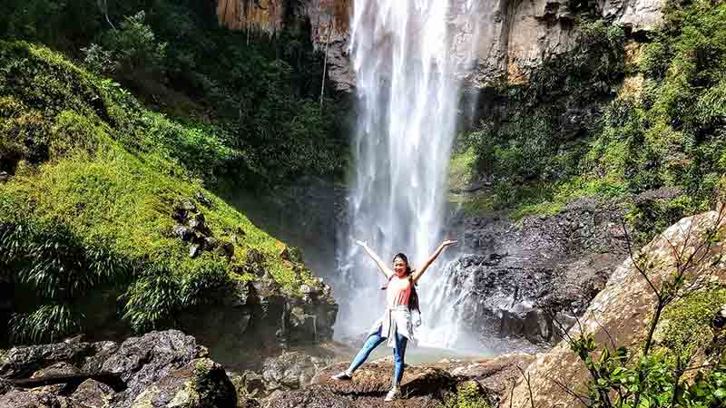 Half Day Tour And Hike Purlingbrook Falls Springbrook Small