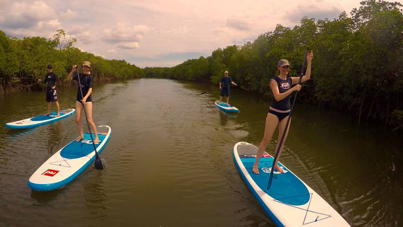 Discover the true beauty of the island of Fiji as you glide through Denarau’s mangrove rivers on this fully guided paddleboard tour.