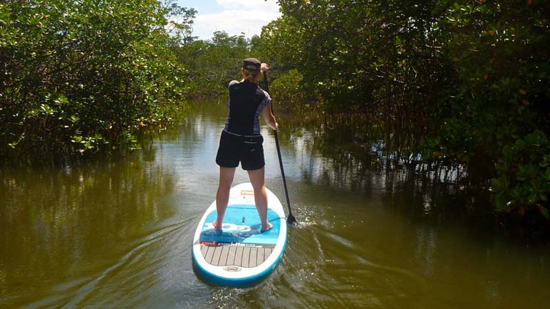 Discover the true beauty of the island of Fiji as you glide through Denarau’s mangrove rivers on this fully guided paddleboard tour.