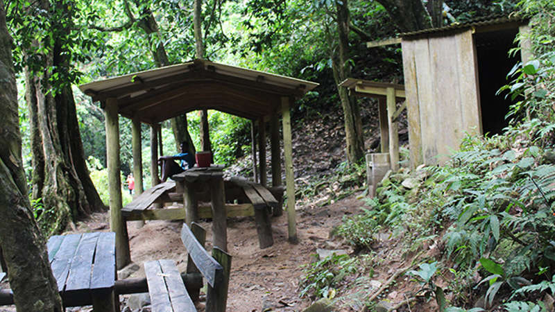 Immerse yourself in a tropical waterfall as you explore the Fiji jungle.