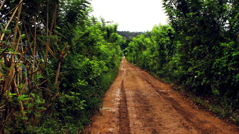 Explore the famous “Salad Bowl” - Fiji’s valley of rich soil, extensive plant life and historical warrior territory.