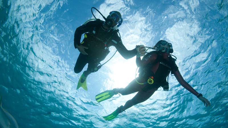 Great snorkelling 