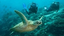 Adrenalin Fiji - Certified 2 Tanks Dive