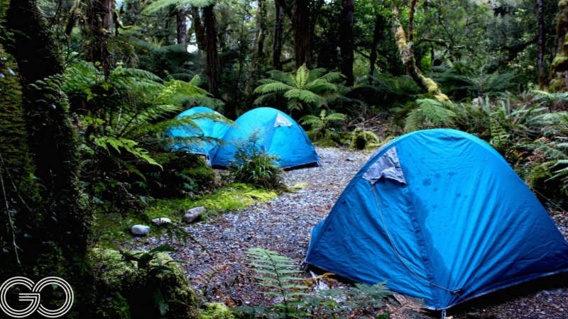 This two day adventure connects you with nature in the spectacular wilderness of Doubtful Sound. There is no TV, no phones and no internet. Just you, your small group and your kayaks. 