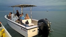 Reef Boat Charter - Sugar Rush