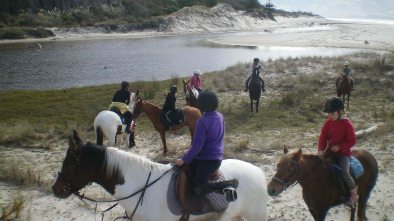Experience Bream Bay and Waipu beaches from horseback for Waipu Horse Adventures - there’s nothing quite like it! 