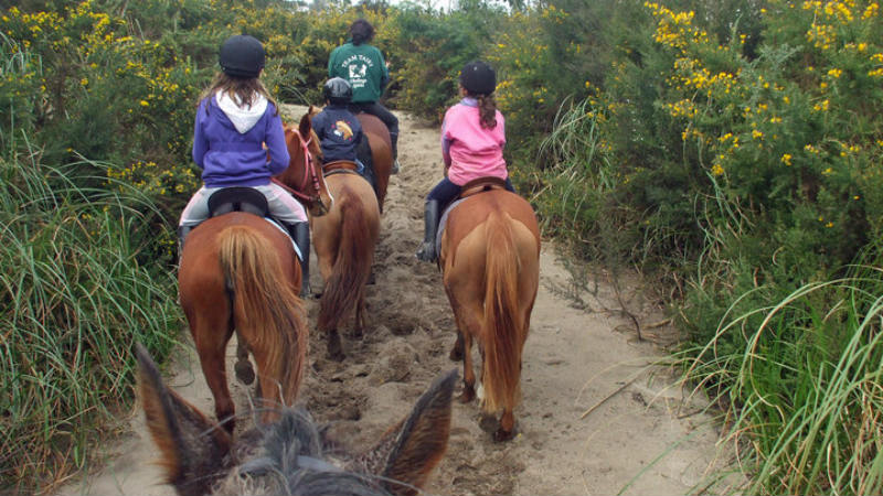 Experience Bream Bay and Waipu beaches from horseback for Waipu Horse Adventures - there’s nothing quite like it! 