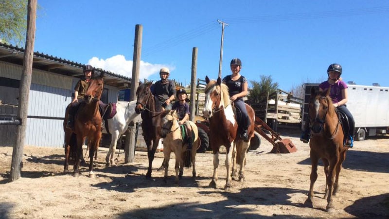 Experience Bream Bay and Waipu beaches from horseback for Waipu Horse Adventures - there’s nothing quite like it! 
