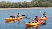 Burleigh Heads Half Day Kayak Tour