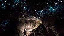 Down to Earth - Waitomo Eco Glowworm Cave Tours