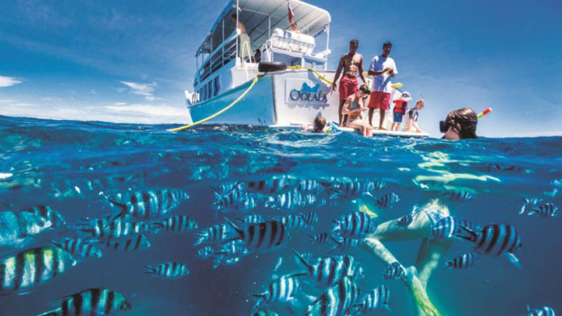 Sail to the peaceful island haven that is Savala on a boutique cruise experience away from the crowds. Enjoy lunch, complimentary drinks, watersports, wildlife and a glass bottom boat ride on this memorable trip brought to you by Oolala Cruises.