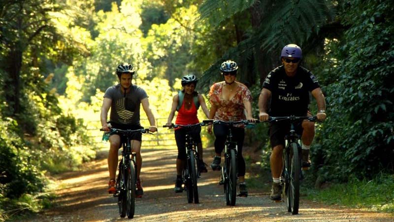 Hire a bike and explore Pencarrow and beyond with The Bike Shed - The areas only cycling operation. Discover the bays of Eastbourne, explore the areas lighthouses and beautiful lakes or, for the more adventurous, take to the wild south coast and cycle to the Wairarapa.
