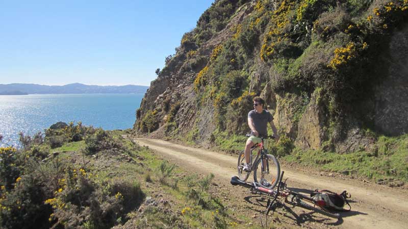 Hire a bike and explore Pencarrow and beyond with The Bike Shed - The areas only cycling operation. Discover the bays of Eastbourne, explore the areas lighthouses and beautiful lakes or, for the more adventurous, take to the wild south coast and cycle to the Wairarapa.