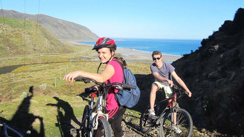 Hire a bike and explore Pencarrow and beyond with The Bike Shed - The areas only cycling operation. Discover the bays of Eastbourne, explore the areas lighthouses and beautiful lakes or, for the more adventurous, take to the wild south coast and cycle to the Wairarapa.