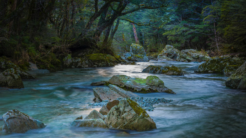 Enjoy the rich, natural diversity and breathtaking scenery of New Zealand’s Great Walk, the Routeburn Track. Hike beneath the canopy of old growth rainforest, while surrounded by crystal clear rivers, soaring mountain peaks, and beautiful birdsong, as you explore the region’s unique wilderness.
