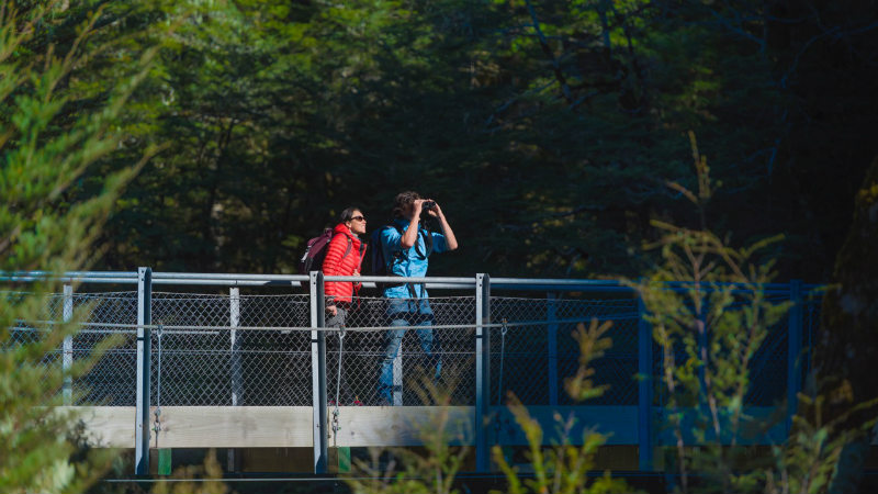 Enjoy the rich, natural diversity and breathtaking scenery of New Zealand’s Great Walk, the Routeburn Track. Hike beneath the canopy of old growth rainforest, while surrounded by crystal clear rivers, soaring mountain peaks, and beautiful birdsong, as you explore the region’s unique wilderness.
