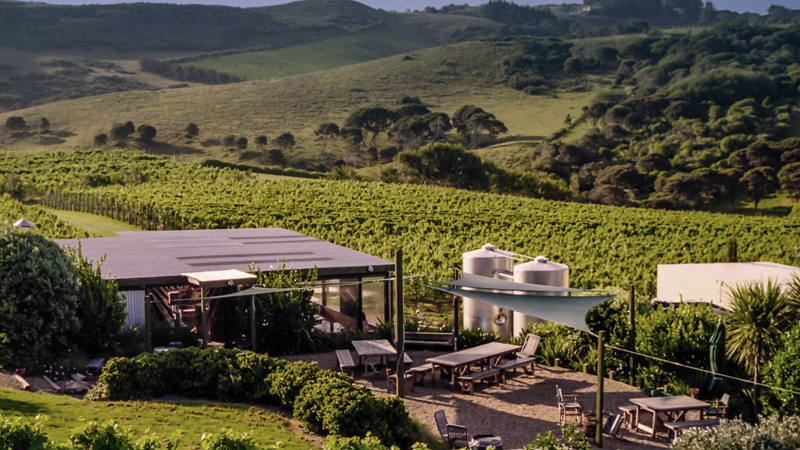 Spend a day with Enjoi Waiheke, visiting 3-4 award-winning vineyards and enjoying 3-5 complimentary tastings at each.