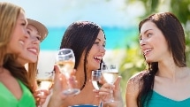 Premium Full Day Waiheke Wine Tour - Enjoi Waiheke