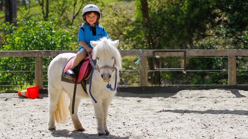 Introduce your kids to the world of horses with this fun and easy beginner programme, brought to you by Bonogin Valley Horse Retreat!
